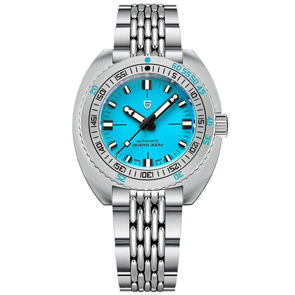 Pagani Design Turtle Turquoise