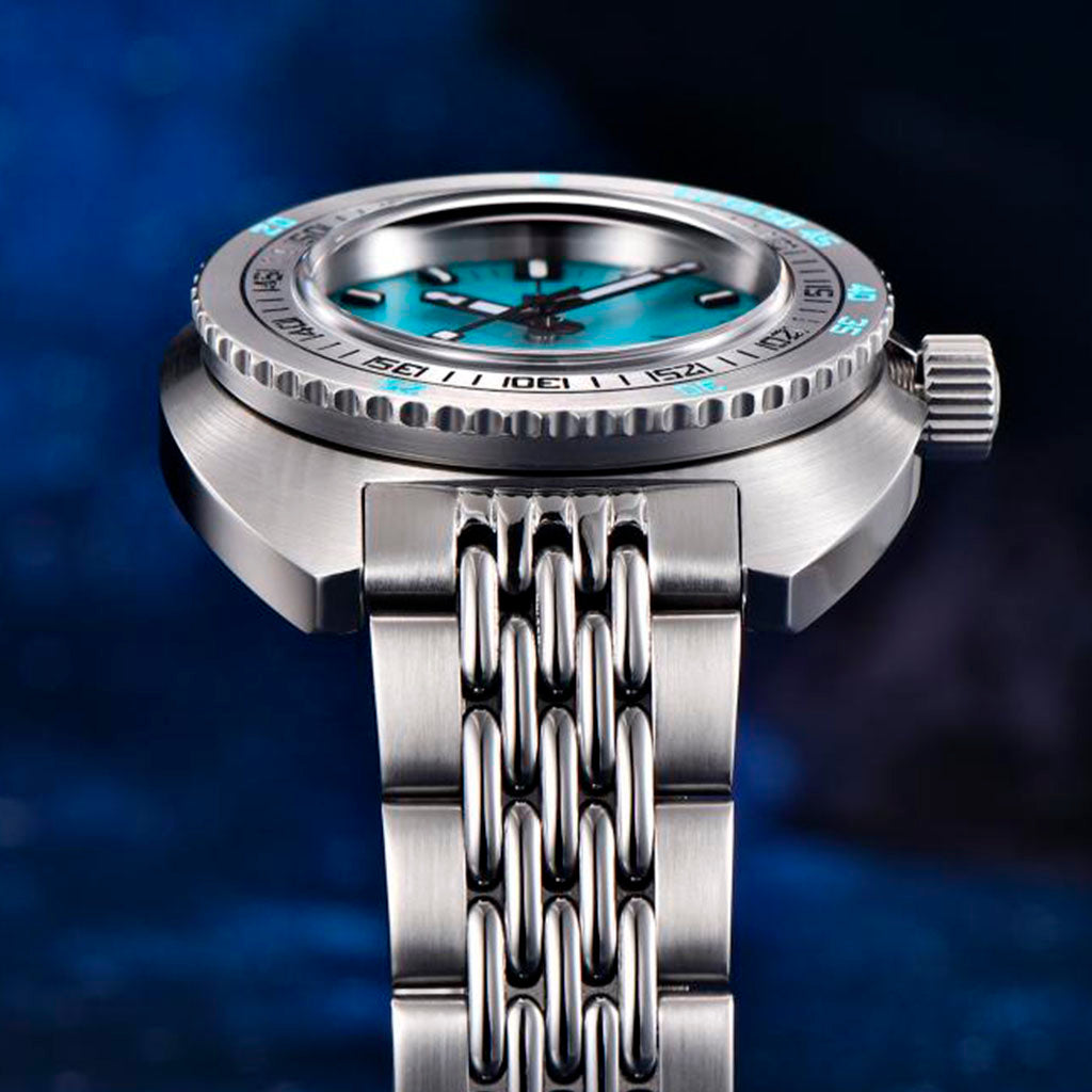 Pagani Design Turtle Turquoise