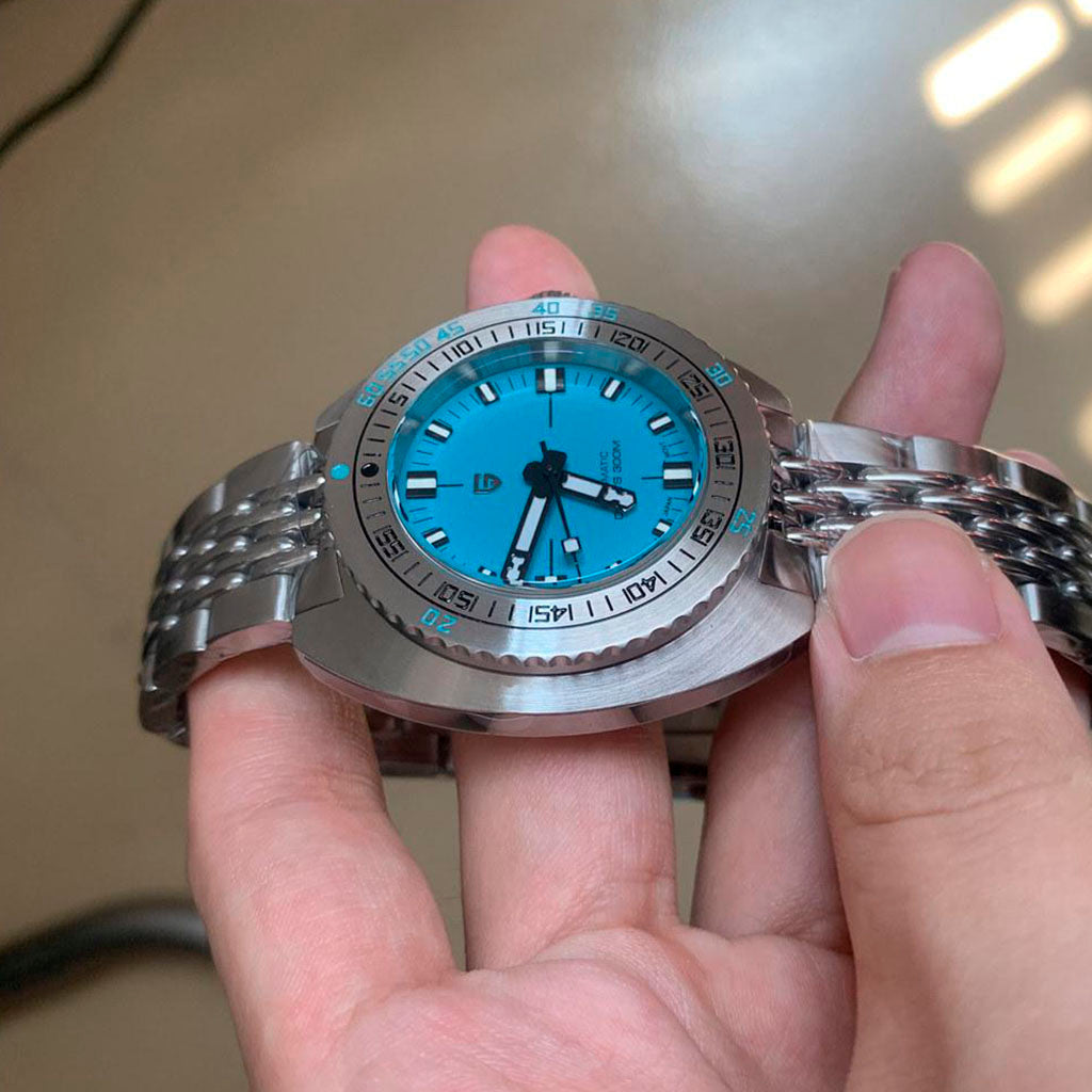 Pagani Design Turtle Turquoise